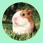 tobias, nevasca e gamora