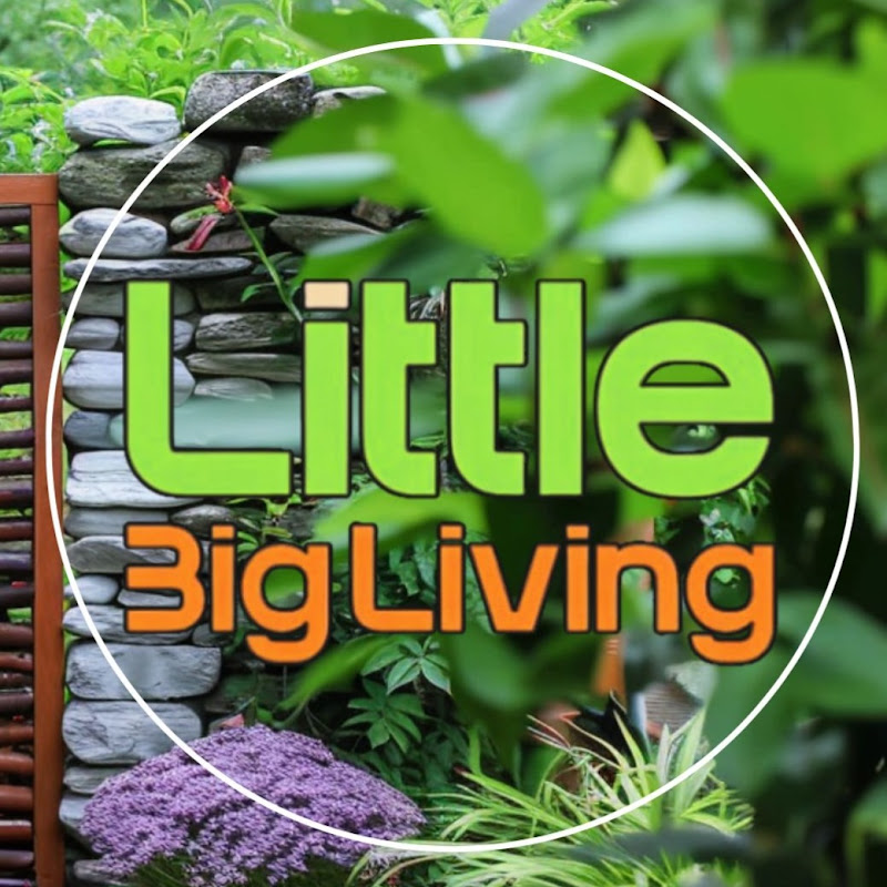 Little Big Living