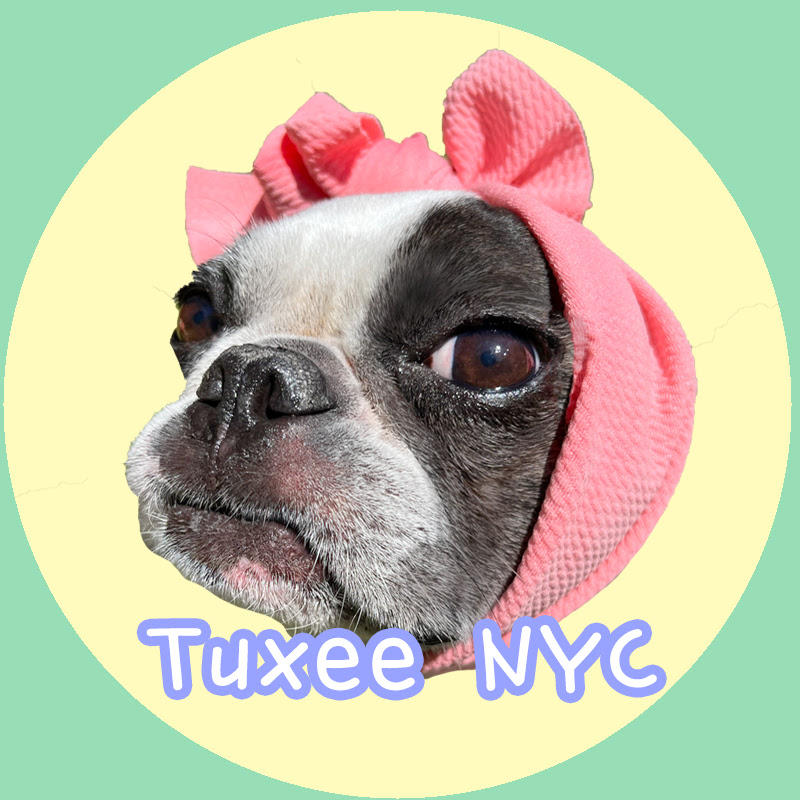 tuxee nyc 턱시