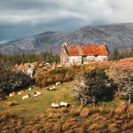 Ireland Travel Guide