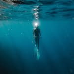 vanialodia