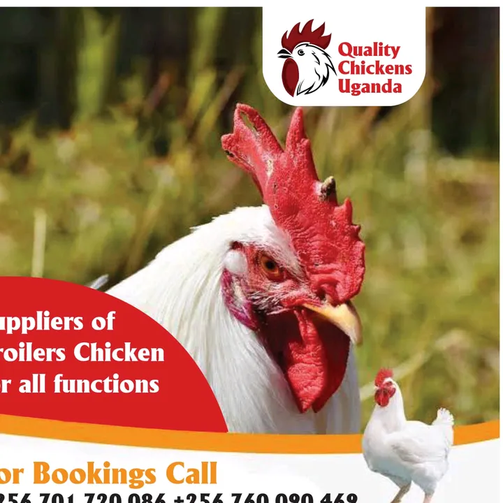 quality chicken