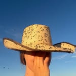 ash 🤠