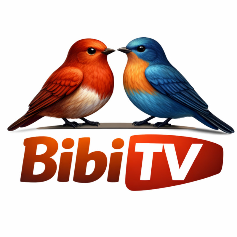 BiBiTV