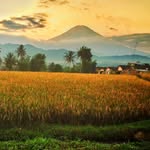 𝔻𝕌𝕋𝔸 𝕆ℕ𝔾