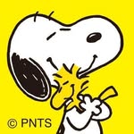 Snoopy - My Collection