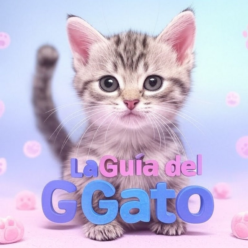 o guia do gato