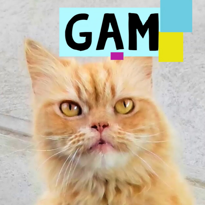 Gatos Aventura Musical