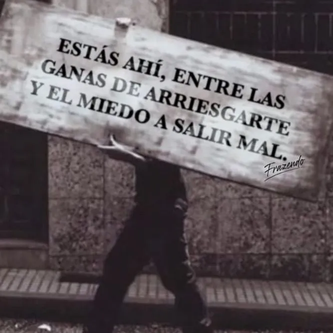 felix_fs07