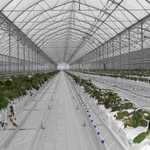 Natural Agro