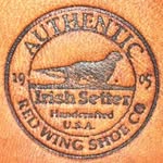 Red Wing Irish setter