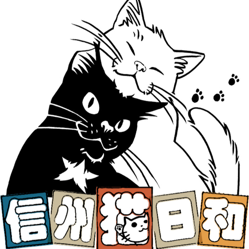 信州猫日和