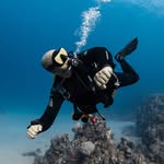 Darren | Course Director | Koh Tao | IDC
