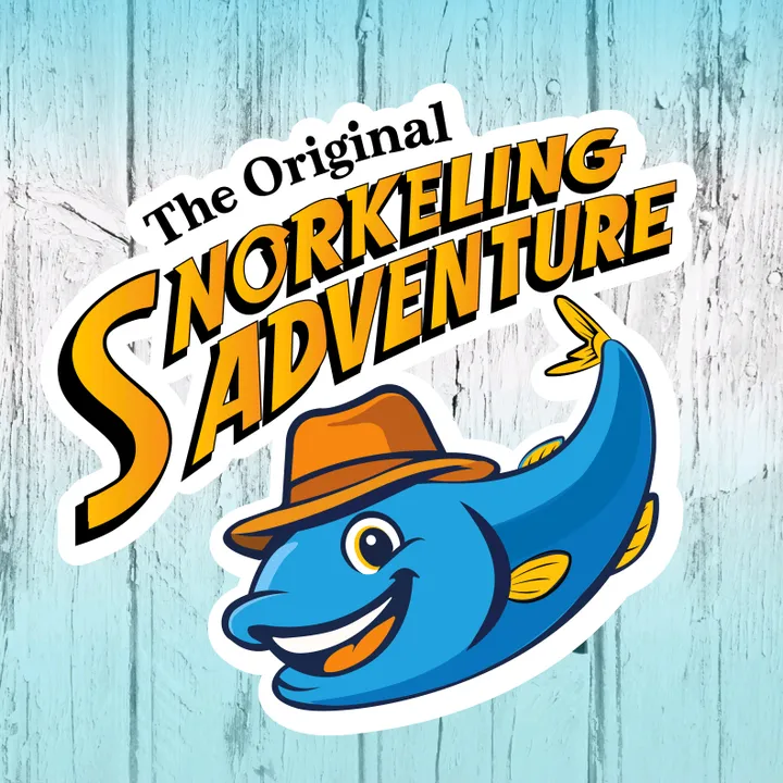 Snorkeling Adventure