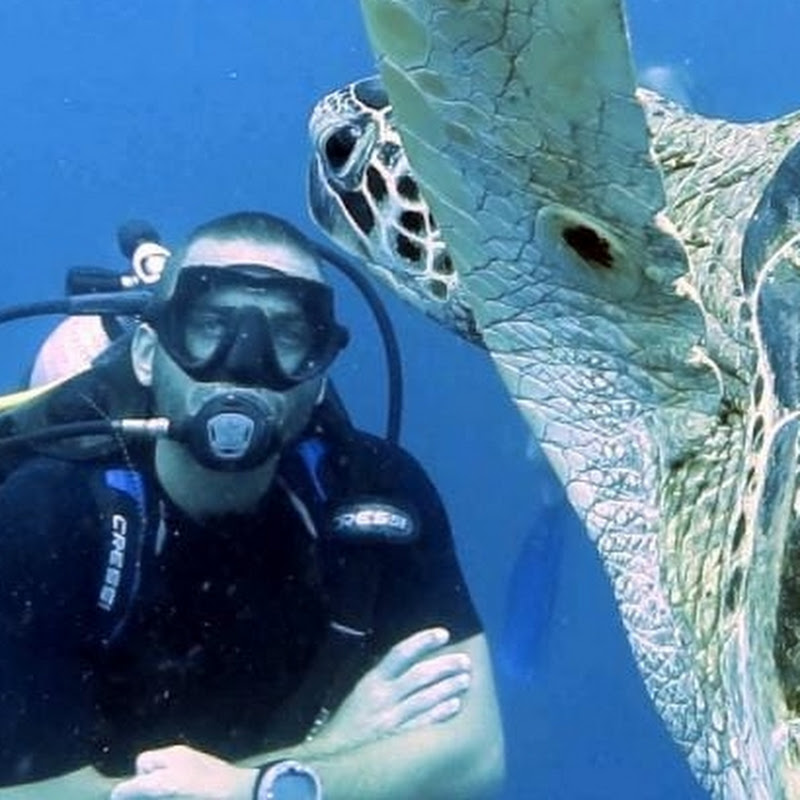 Tibo Diving