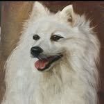 Casseyart