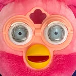 Home for Vulnerable Furbies