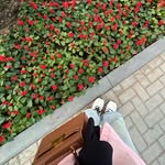 جِـنان|UGC.