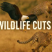 Wildlife Cuts