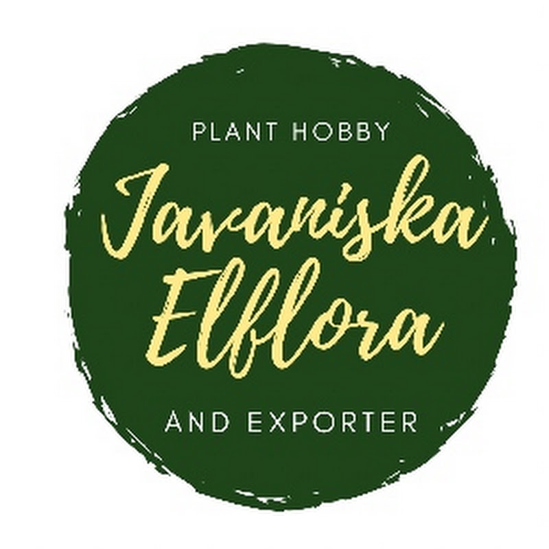 Javaniska Elflora