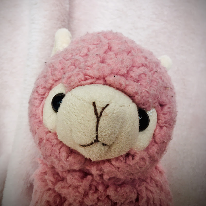 DUBBIS