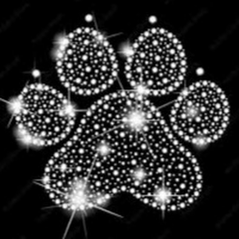 Diamond Paws