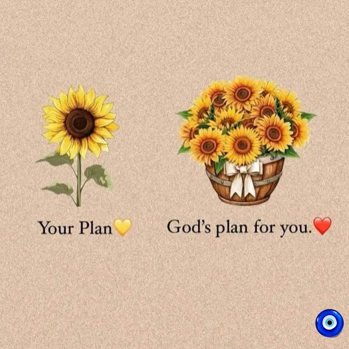 ahsin stha 🧿 💰