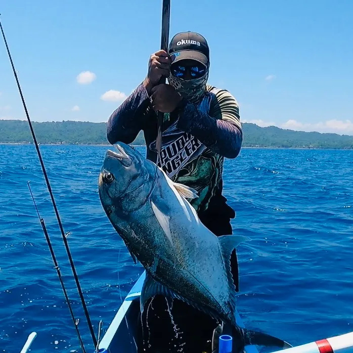 donut bay ADVENTURE