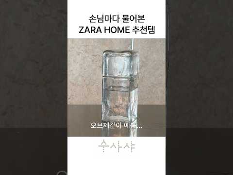 수사샤suesasha