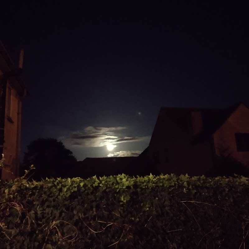 Dreams of the Projected Night