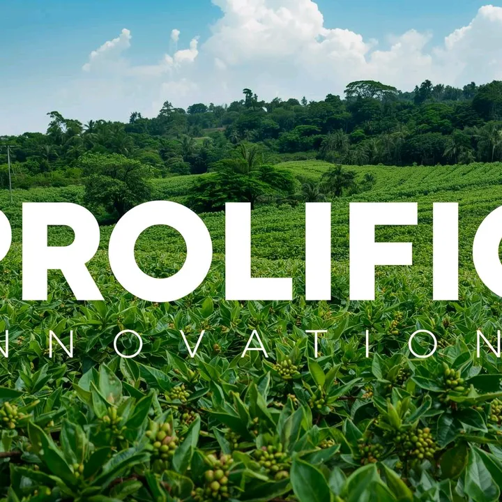 Prolific innovations limited