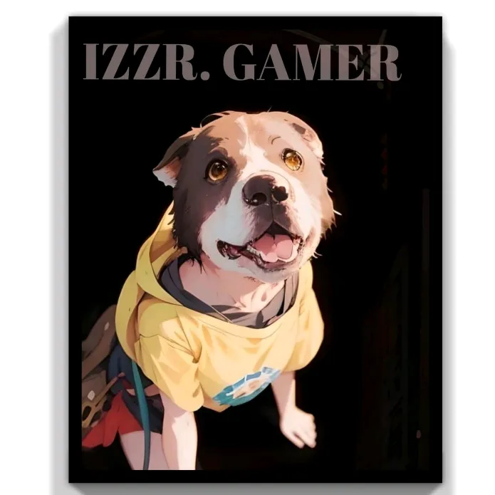 IZZR GAMER