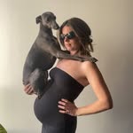 Lilah | blue whippet