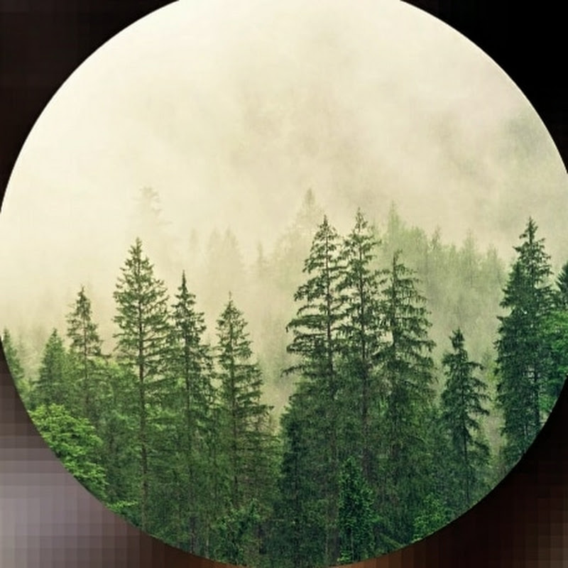 RelaxingAmbiance