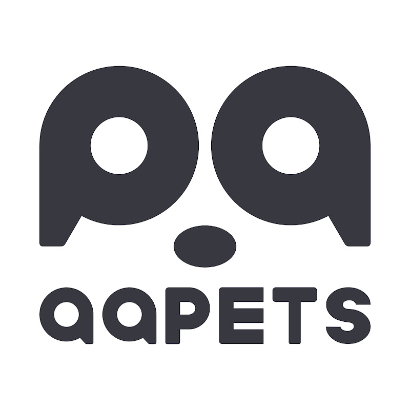 QQPETS Dog Collar Suppliers