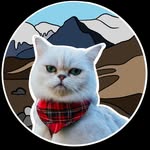 Mia & Eilidh | Adventure Cat Duo