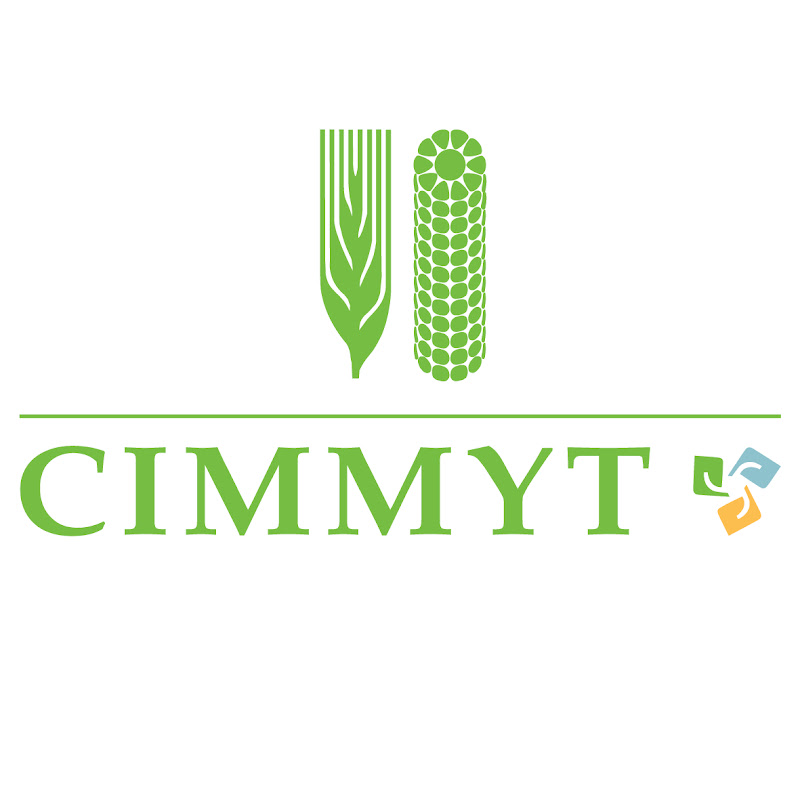 CIMMYT WebCast