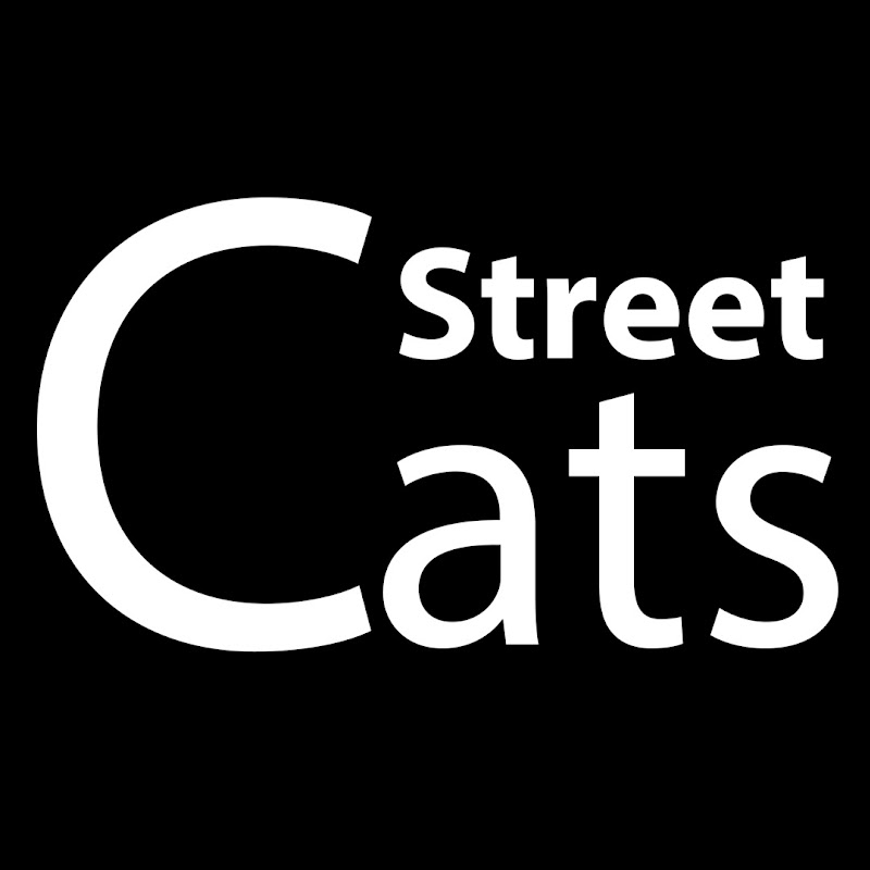 Street Cats