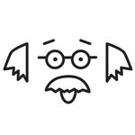 Albert I'mStein | Fun & Happy Eyewear