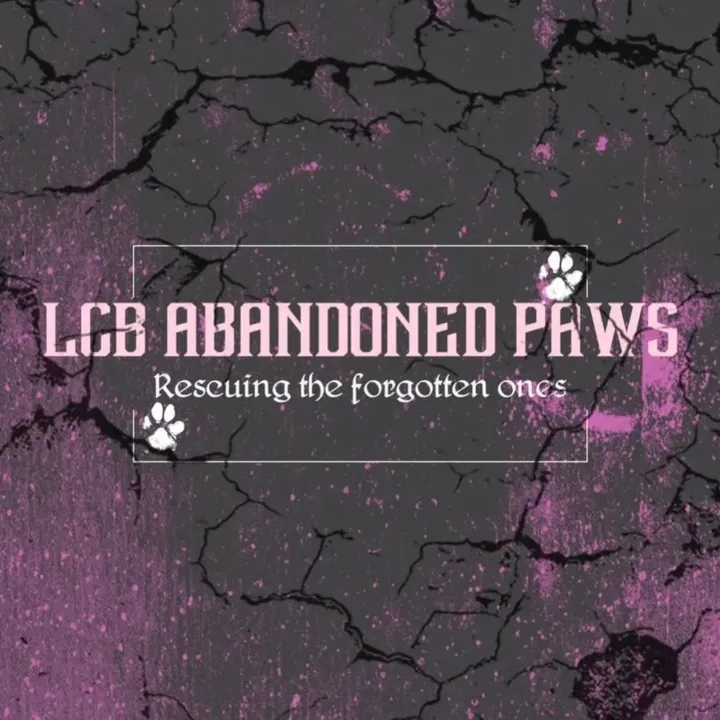 LCB_Abandoned_Paws