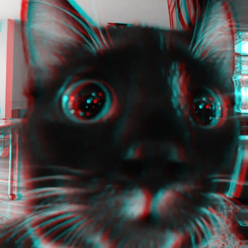 Vyle