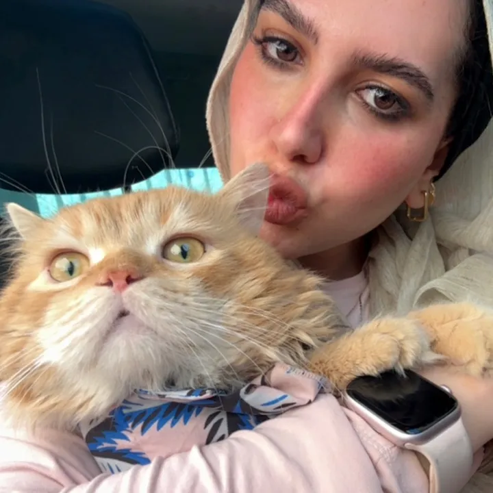 Rehameow 🐾