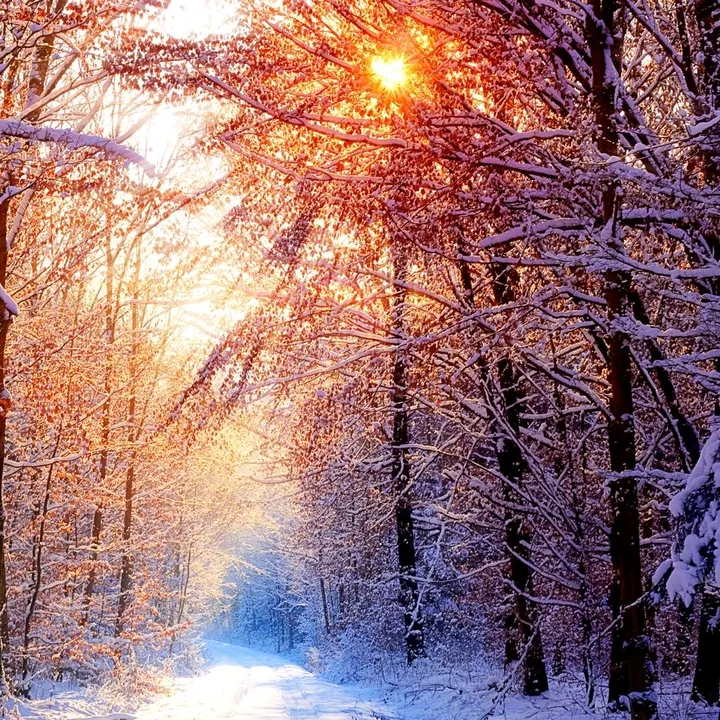 The Daily Reminder 💫