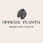 plants | decor | inspiration