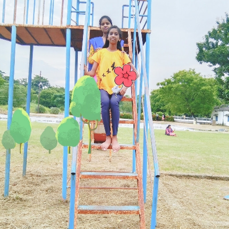 nishu & lochu vlogs