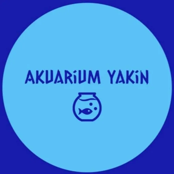 Akuarium Yakin