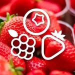 AGRONOM BERRIES & PLANTS | OWOCE | SADZONKI | POLSKA