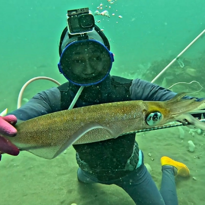 Diving for seafood
