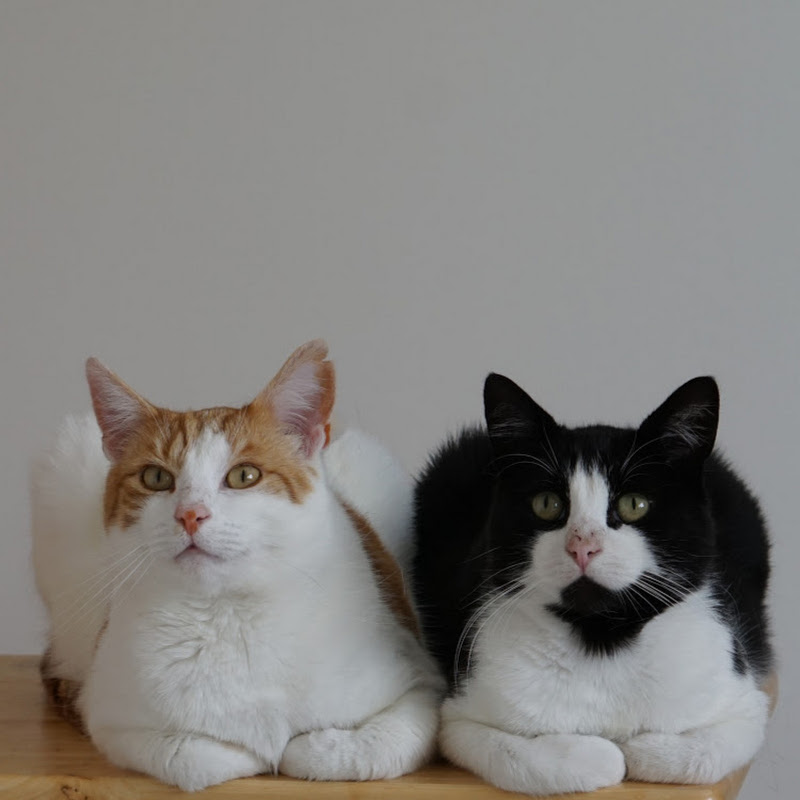 Tom & Mimi