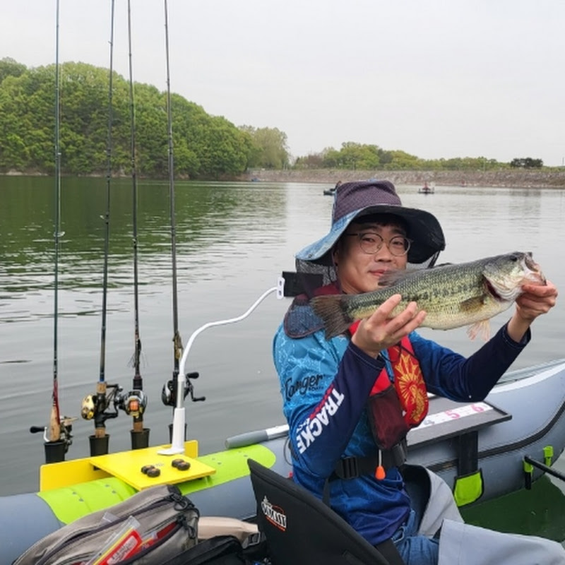 배파고basspago